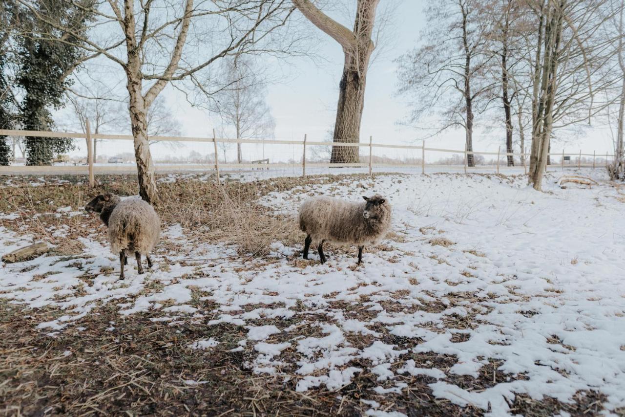 Our Farm Ferienwohnung Grasberg Kültér fotó