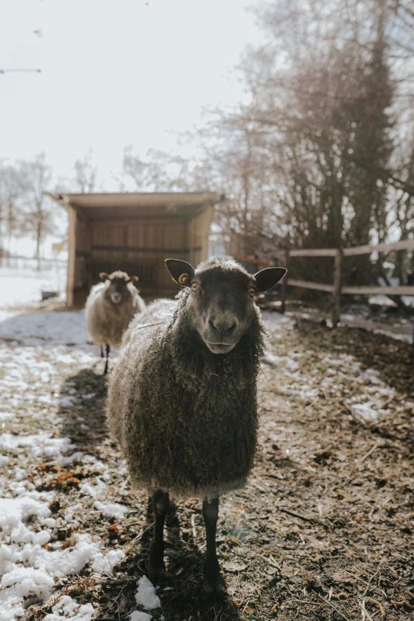 Our Farm Ferienwohnung Grasberg Kültér fotó